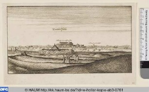 Toothill fields