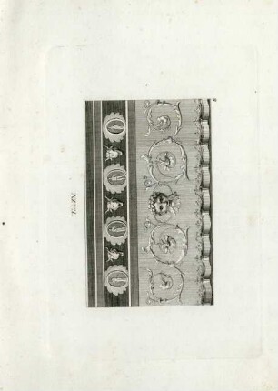 Tab. XV.