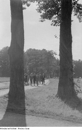 Spaziergänger im Park von Sanssouci