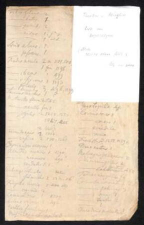 Handschriftliche Liste von Vogelbälgen
