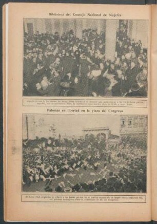 Palomas en libertad en la plaza del Congreso
