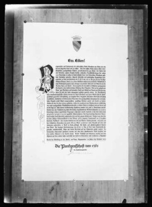 Urkunde Pankgrafschaft von 1381