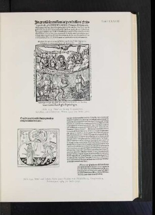 Abb. 133. Titel zu Georg Tannstetter: Libellus consolatorius, Wien 1523 (zu Seite 510).