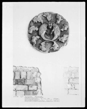 Ornamentierte Drachen