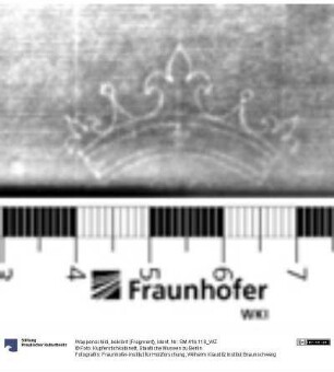Wappenschild, bekrönt (Fragment)