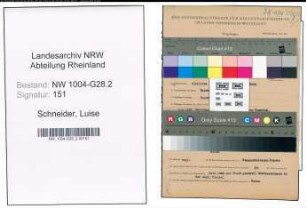 Entnazifizierung Luise Schneider , geb. 05.11.1894 (Postsekretaerin)