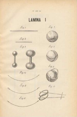 Lamina I