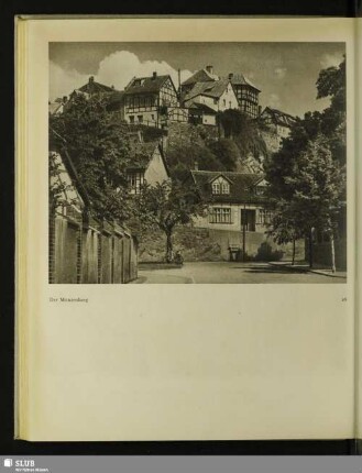 Der Münzenberg