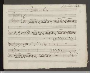 Violoncello und Kontrabass