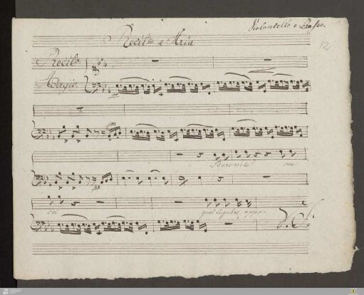 Violoncello und Kontrabass
