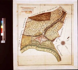 Geometrischer Plan über die wertheimische Dorfsmarkung Grünenwört, wie solches alles horizontalkunst- und winkelmäßig aufgenommen worden (Inselkarte)