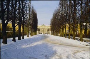Potsdam, Park Sanssouci, Allee an Grünen Gitter im Winter, im Hintergrund Terrassen und Schloss Sanssouci.