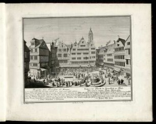 8. Prospectus fori Francofurti ad Moenum