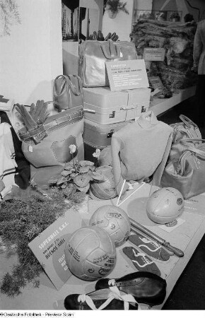 Argentinische Exponate auf Leipziger Herbstmesse 1954, darunter Koffer, Taschen, Handschuhe, Schuhe, Fußbälle, Rugbyball