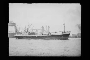 Maja (1957), Stern Linie Hemmersam und Hornemann, Lübeck