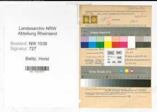 Entnazifizierung Horst Belitz , geb. 03.09.1908 (Angestellter)