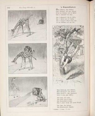 "Die kluge Giraffe, oder: Die Citrone als Schutzmittel" "'s Bauernbüaberl"