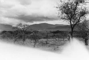 Landschaft : Blick über eine Ebene auf die bergige Landschaft