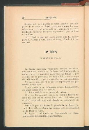 Las liebres : Verdadera plaga