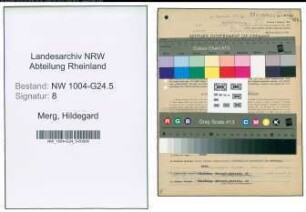 Entnazifizierung Hildegard Merg , geb. 12.01.1912 (Kaufm.Angestellte)