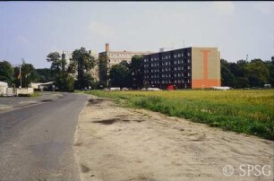 Potsdam, Eiche, Universität.