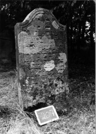 Grabstein 207 [Nir S. 125 Nr. 13.02]