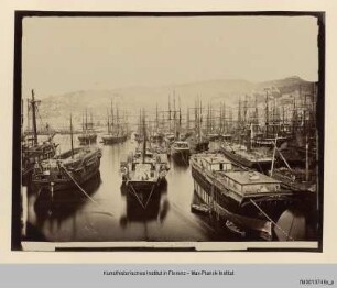 Hafen von Genua, Genua