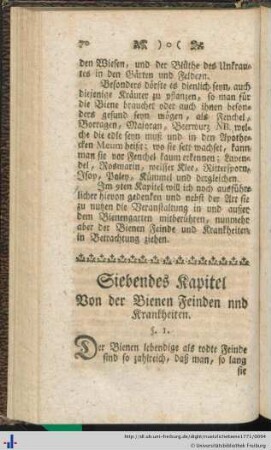 Siebendes Kapitel.
