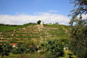 Radebeul-Niederlößnitz. Weinberg von Schloss Wackerbarth. Blick zum Jacobstein