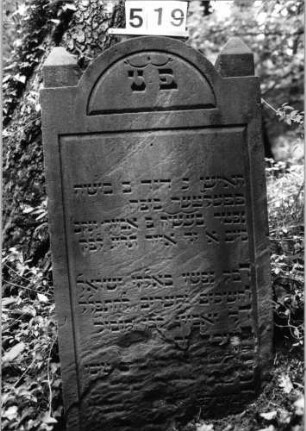 Grabstein 519 (Index: 99802702) Material: Sandstein Zustand: unten abgeblättert/Textverlust Maße HxBxT: 113x61x12 cm Beschreibung: Stele mit eingezogenem Rundbogen, profilierter Rand, Seitenakroterien Besonderheit: Endreim, längerer Text: Grabstein 519