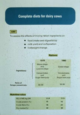 Complete diets for dairy cows
