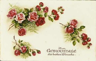 Zum Geburtstage die besten Wünsche.