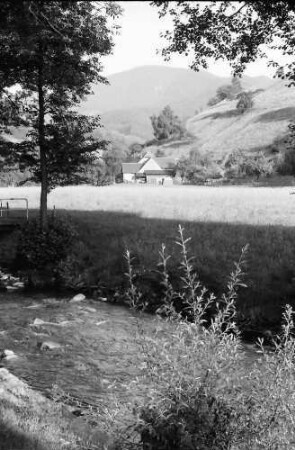 Münstertal: Neumagen mit Wiese und Belchenblick; Park "Löwen"