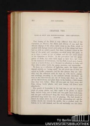 Chapter VIII. Pinks as show and border-flowers. Tree Carnations. Forcing.
