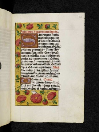 Antiphon 'Salve regina'