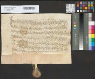 Revers des Peter von Kaldenborn als Amtmann zu Andernach.