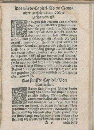 Das funffte Capitel/ Von blutstellen.