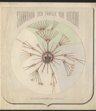 Stammbaum der Familie von Kotzebue
