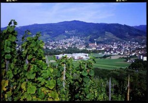 Oberkirch: Stadt von Butschbach, Hintergrund Schauenburg