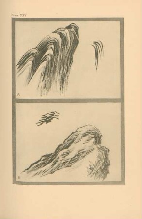 Plate XXV