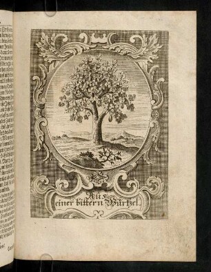 Abbildung zum Ersten Buch Cap. IIX