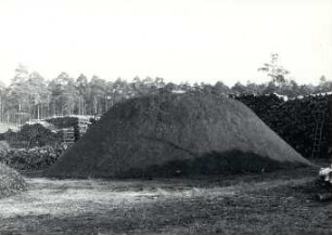 Holzkohlenherstellung in Rietschen, Kohlenmeiler : Handwerkstechniken - Kohlen- und Pechbrennerei. Ort: Rěčicy / Rietschen. Zum Brennen vorbereiteter Kohlenmeiler. Vgl. Lětopis C 9 (1966).