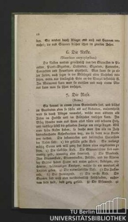 7. Die Rose. (Rosa.)