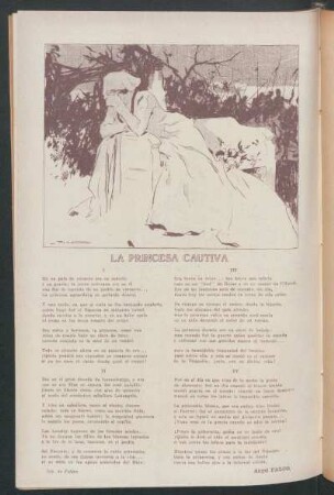 La princesa cautiva