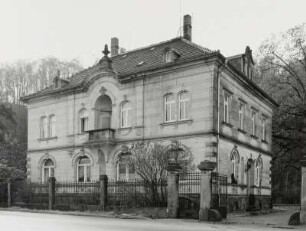 Fabrikantenvilla, Pirna
