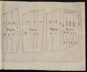 Fig. XXII. - Fig. XXV.