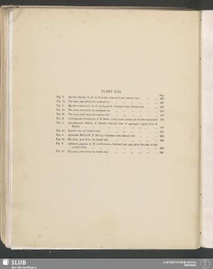 Plate XXI