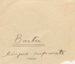 Barbu: lingue imparate : Manuskript