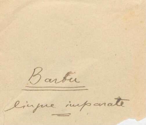 Barbu: lingue imparate : Manuskript