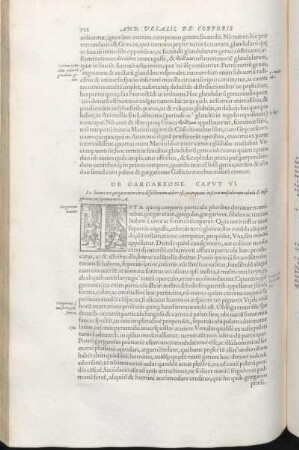 De Gargareone. Capvt VI. [De Pvlmone. Capvt VII. De Cordis Involvcro. Caput VIII. De Cordis Sitv Et Forma. Caput IX. De Cordis Svbstantia. Caput X.]